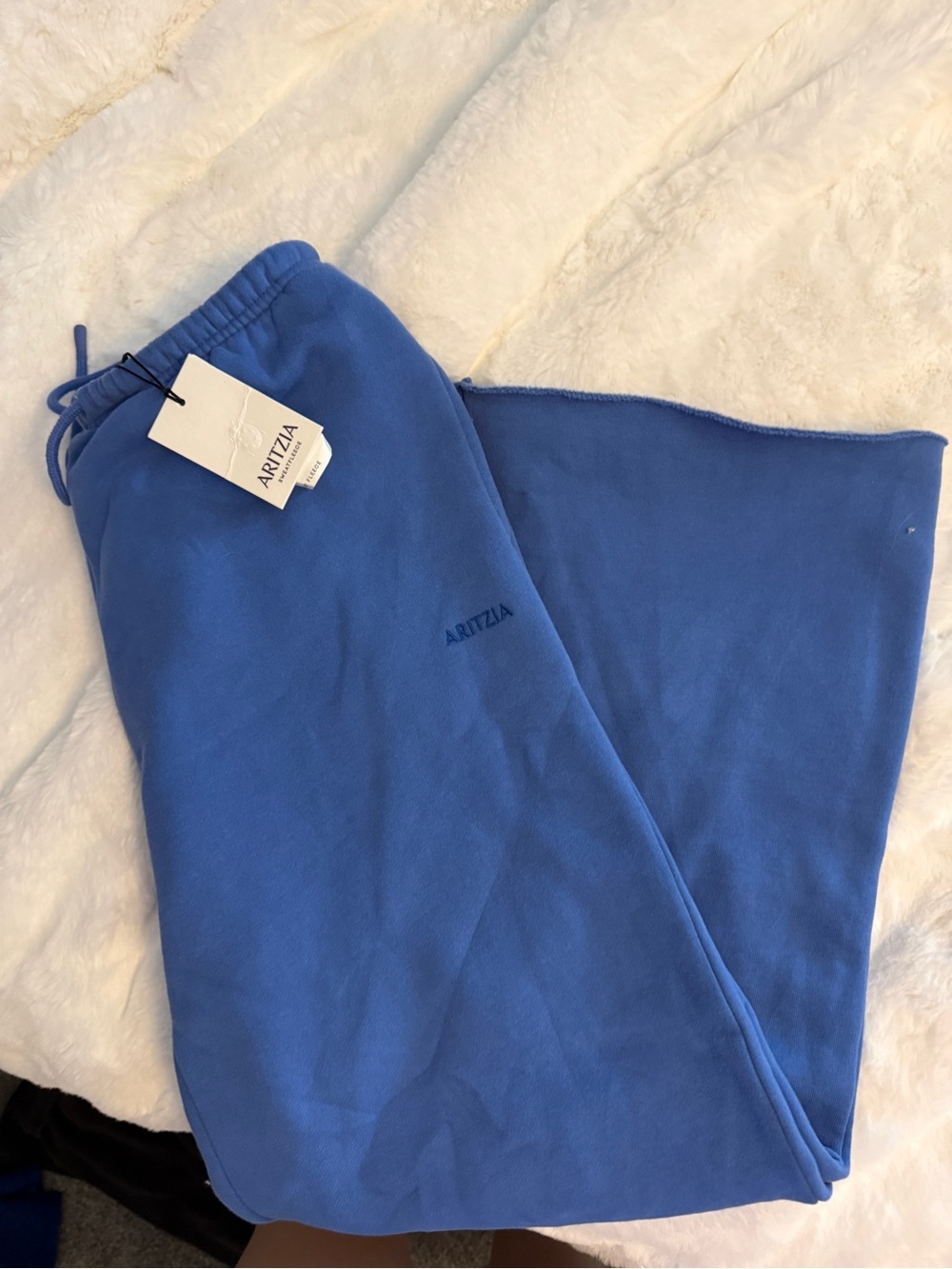 Aritzia blue sweatpants